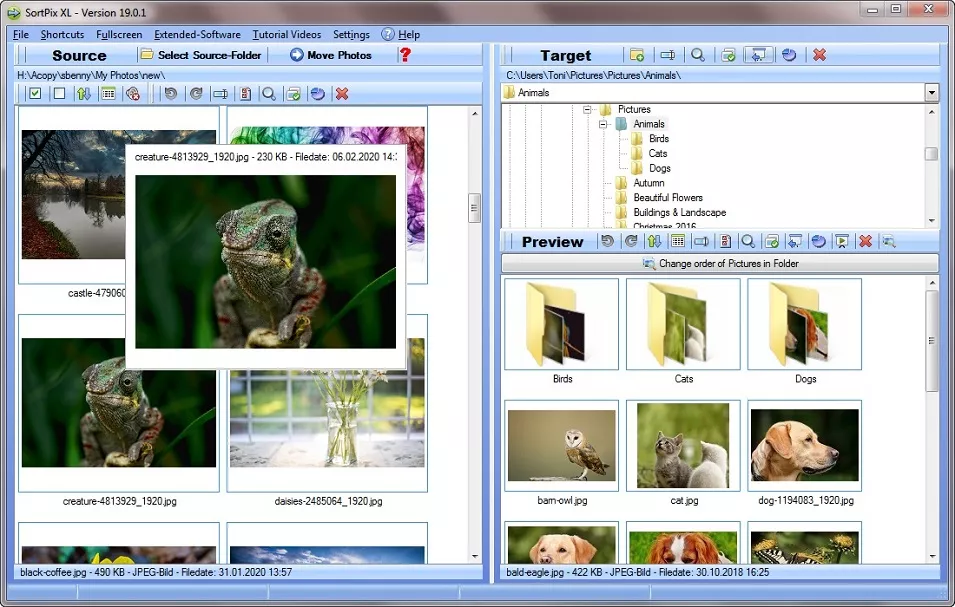 Free Photo Managing Software Download