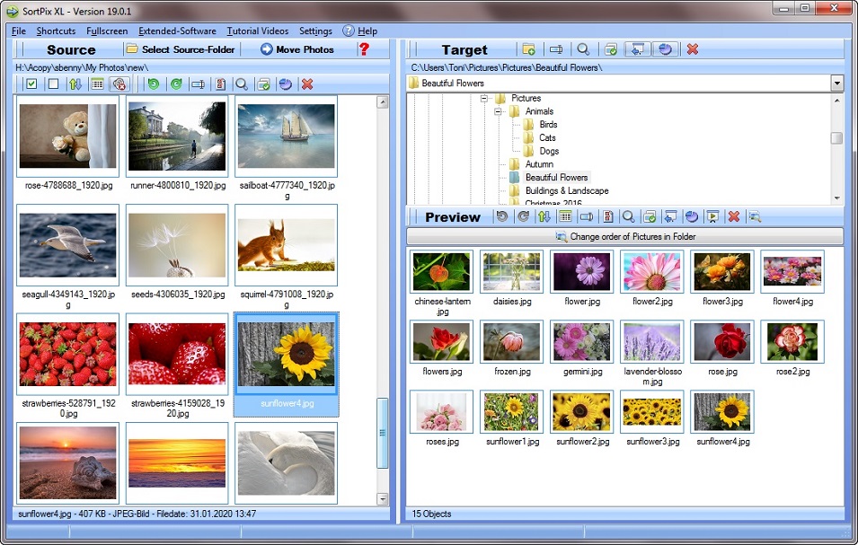digital photo organizer software free